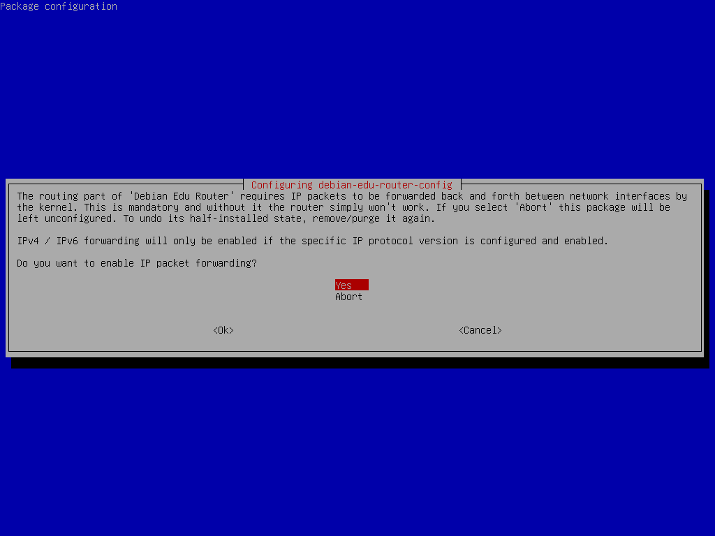 Enabling IP packet forwarding
