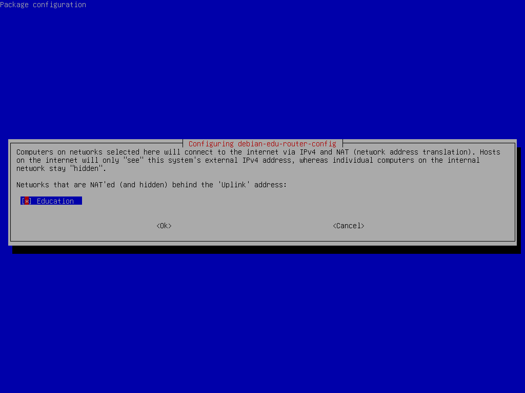 Enabling NAT for networks