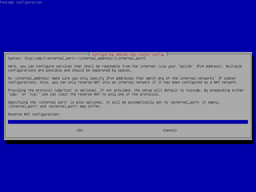 Setting up reverse NAT